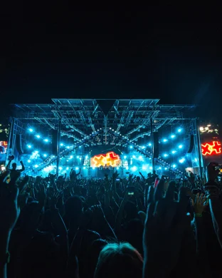 Endless Night Vampire Ball