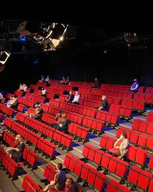 Chicks in the Office