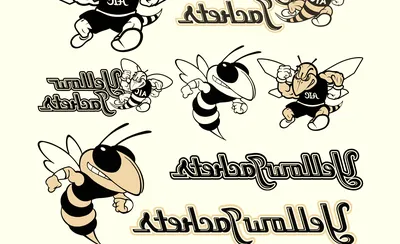 American International Yellow Jackets