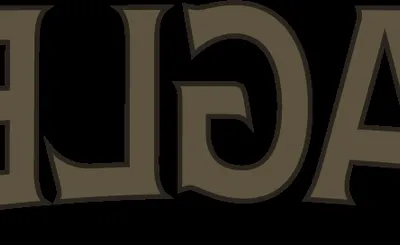 American University Eagles