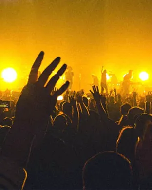 Bingo Loco Boston Boston