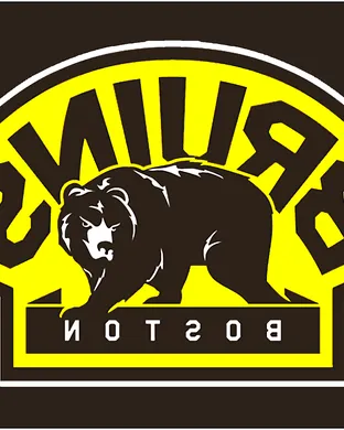Boston Bruins