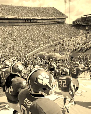 Clemson Tigers Basketball