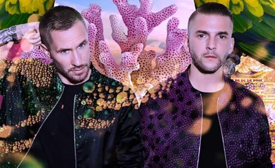 Galantis