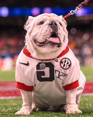 Georgia Bulldogs vs. Boston College Eagles