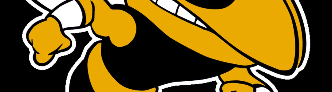 Georgia Tech Yellow Jackets
