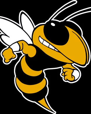 Georgia Tech Yellow Jackets