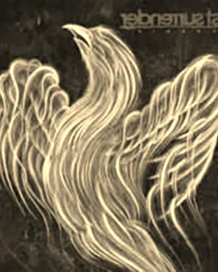 Just Surrender Cambridge