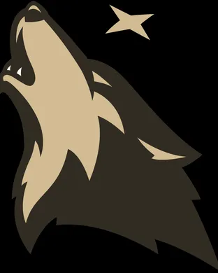 Minnesota Timberwolves