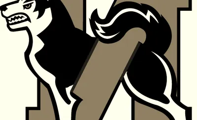 Northeastern Huskies