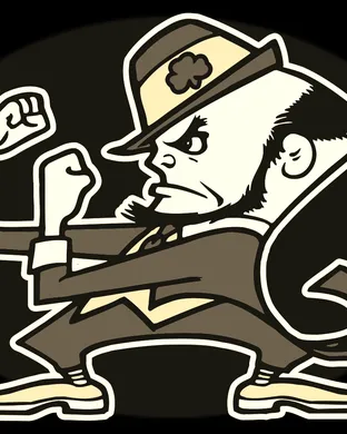 Notre Dame Fighting Irish vs. Boston College Eagles