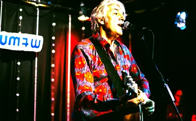 Robyn Hitchcock