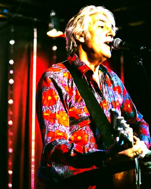 Robyn Hitchcock