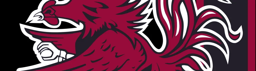 South Carolina Gamecocks