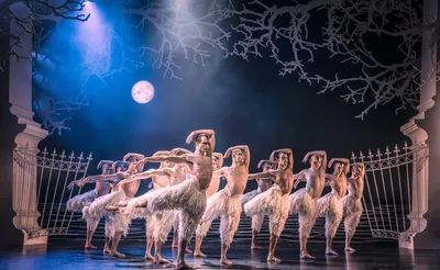 Swan Lake