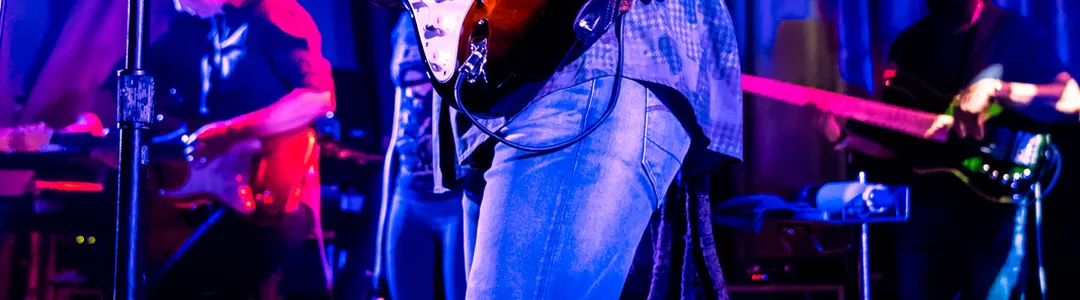 Ziggy Marley