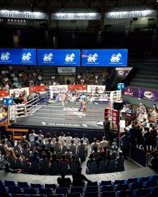 The Bada Bing Boxing Championships