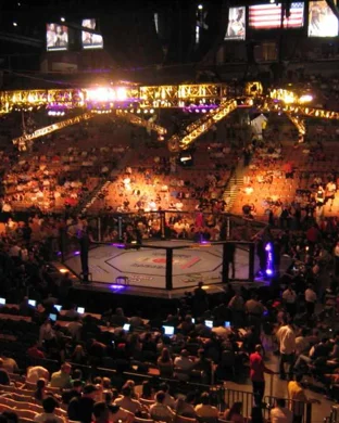 Noboundaryfight XXXI sports event