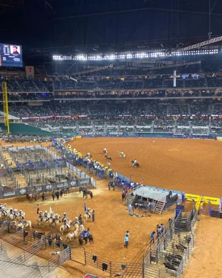 PBR Boston