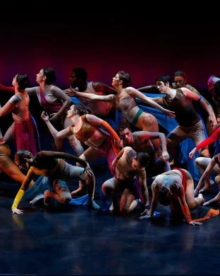 Cultura Latina Dance Acadmey: Perseverance